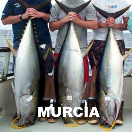 Pesca a Bordo