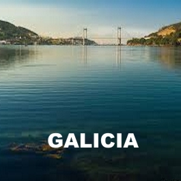 Paseos por la Ría de Vigo