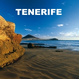La costa de Tenerife
